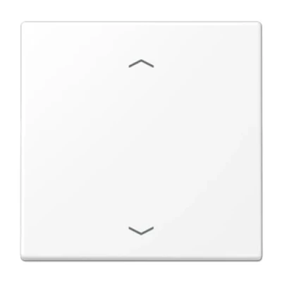 Afbeelding van Jung ls range bedieningselement 1 toets afdekking voor dimmer en jaloezieschakelaar gelakt duroplast mat wit ls1700pwwm