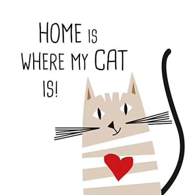 Afbeelding van 20 servetten thuis en kat, tafeldecoratie, decoupage, servettechniek 33 x cm