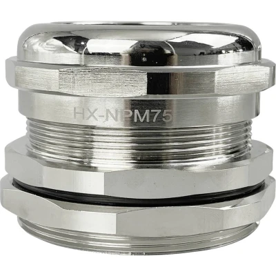 Afbeelding van TRU COMPONENTS TC 10302864 Wartel M75 Messing (vernikkeld) Metaal 1 stuk(s)