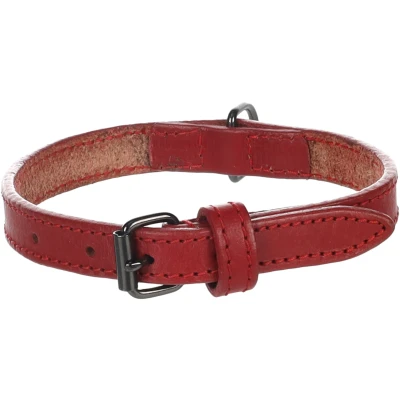 Afbeelding van Flamingo Denver Gewoon Halsband Honden Rood S 29 35cm 15mm 1st 174647