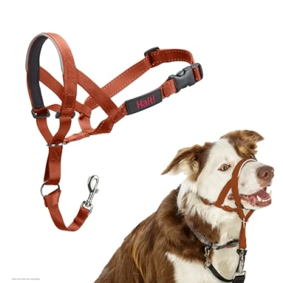 Afbeelding van Company of Animals HALTI Halster, om te voorkomen dat uw hond aan de riem trekt. Verstelbaar, reflecterend en licht, met gevoerde neusband, Burnt Orange, 2