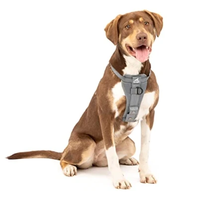 Afbeelding van Kurgo Tru Fit Autoveiligheidstuigje voor honden, met gevoerd borstdeel en D ring, autogordel, maat M, grijs