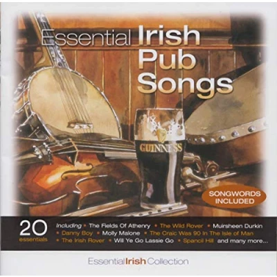 Afbeelding van Various Artists Essential Irish Pub Songs (CD)