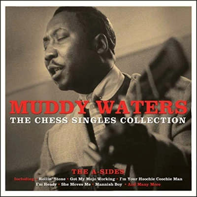 Afbeelding van Muddy Waters Chess Singles Coll. (2 LPs)