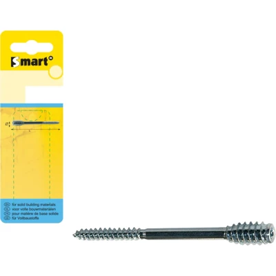 Afbeelding van pgb Europe SMART Afstandschroef T drive Ø 6,00x100 Zn 6 st SM0SSC001060100H