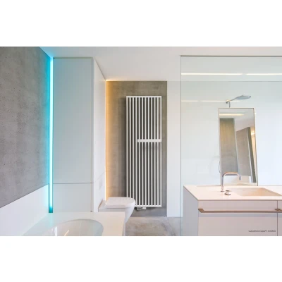 Afbeelding van Vasco Arche VVR verticale designradiator RAL 9016 wit 1050 Watt