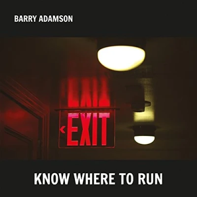 Afbeelding van Barry Adamson Know Where To Run (CD)