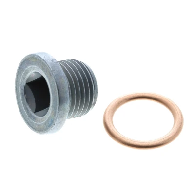 Afbeelding van Vaico Olie aftapplug / carterplug V46 0422