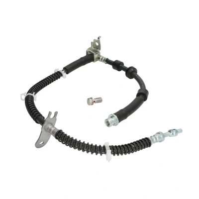 Afbeelding van Remleiding DELPHI LH7980