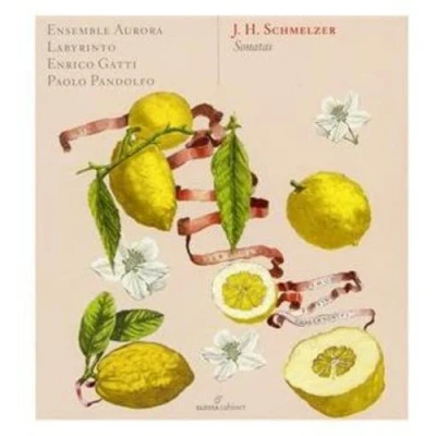 Afbeelding van Ens. Labyrinto Aurora Sonatas (CD)