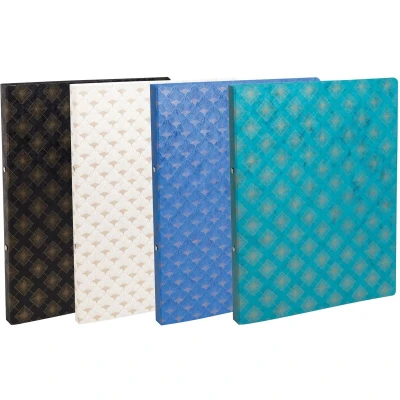 Afbeelding van Ringband in soepel glanskarton Neo Déco assorti Set 10 Exacompta