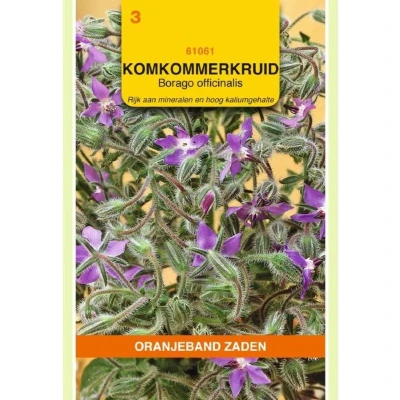Afbeelding van Borage, Komkommerkruid