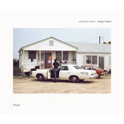 Afbeelding van Joel Sternfeld: Nags Head