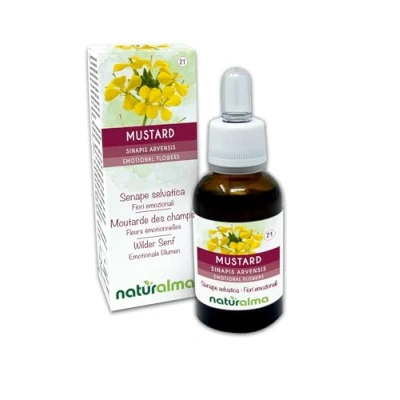 Afbeelding van Mustard of Herik (Sinapis arvensis) Naturalma Bachbloesems Druppels 30 ml alcoholvrij vloeibaar extract Bloesemessences Veganistisch en