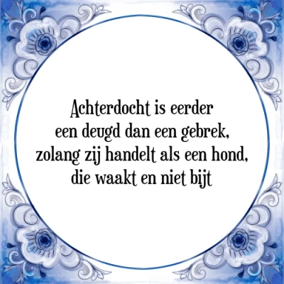 Afbeelding van Achterdocht is eerder een deugd dan gebrek, Tegeltje + Spreuk