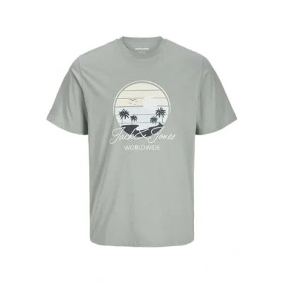 Afbeelding van JACK&amp;JONES JJPALM TEE SS CREW NECK MNI Jongens T shirts