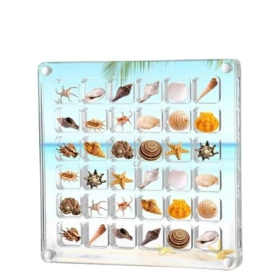 Afbeelding van Magnetische vitrine van acryl, 36 vakken, organizer, transparant, voor het opbergen voorwerpen, verzameldoos, schelpen, nagels, sieraden