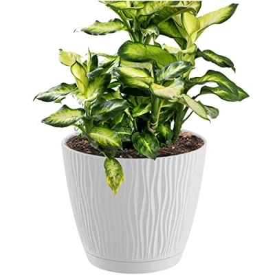 Afbeelding van Prosperplast Plantenpot kunststof wit D17 x H16 cm Plantenpotten