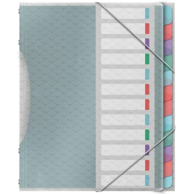 Afbeelding van Esselte Colour&#039;Breeze sorteermap, PP, ft A4, 12 tabs, assorti voorordner
