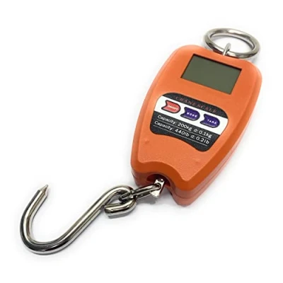 Afbeelding van TEMPO DI SALDI Professionele digitale weegschaal, industriële haak, dynamometer, veer, max. 200 kg, Diverse