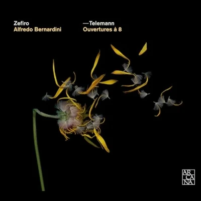 Afbeelding van Zefiro Baroque Orchestra &amp; Bernardini Telemann: Ouvertures A 8 (CD)