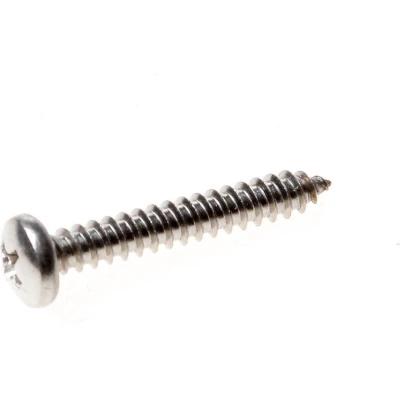 Afbeelding van Kelfort Plaatschroef cilinderkop phillips RVS A2 4.8 x 38mm