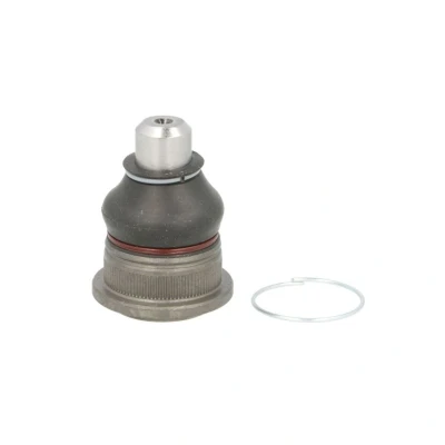 Afbeelding van Moog Fuseekogel RE BJ 13609