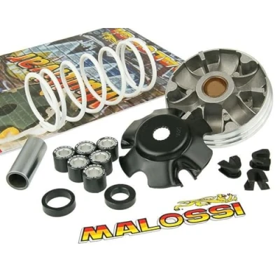 Afbeelding van Malossi M.519019 Variomatik Multivar 2000 voor Piaggio (98 )
