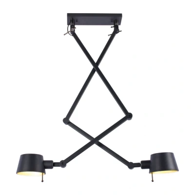 Afbeelding van Plafondlamp hanglamp dubbele zwenkarm verstelbaar zwart 2 lichtpunten