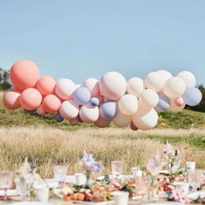 Afbeelding van Ballonboog DIY Blush, Nude en blauw per kit