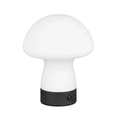 Afbeelding van Trio Tafellamp Dooley oplaadbaar met wit glas R54981131