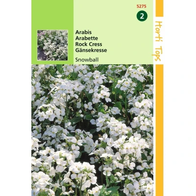 Afbeelding van 2 stuks Hortitops Arabis Alpina Comp. Snowball