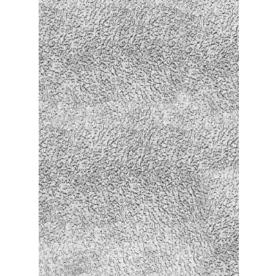 Afbeelding van Alberts 468354 Structuurplaat ruw gepleisterd reliëf aluminium, naturel 200 x 1000 1 mm