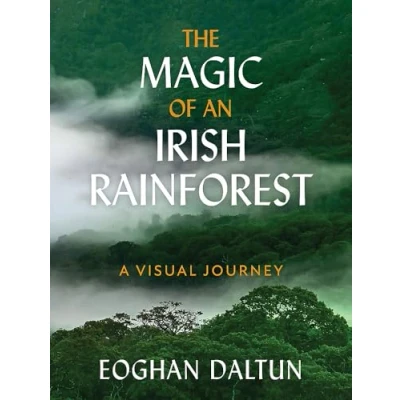 Afbeelding van The Magic of an Irish Rainforest
