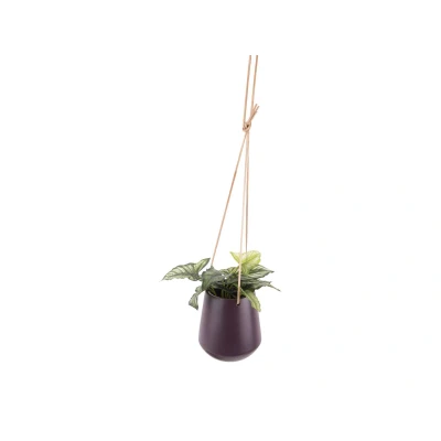 Afbeelding van Pt Bloempot Skittle Hangend Medium Donkerpaars Ø13,5x15cm