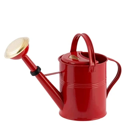 Afbeelding van PLINT Gieter van 5 liter Waterpot in moderne stijl voor kamerplanten binnen en buiten gekleurd gegalvaniseerd gepoedercoat staal metalen ontwerp met smalle tuit hoge handgreep (rood)