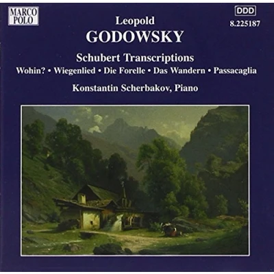 Afbeelding van Konstantin Scherbakov Schubert Transcriptions (CD)