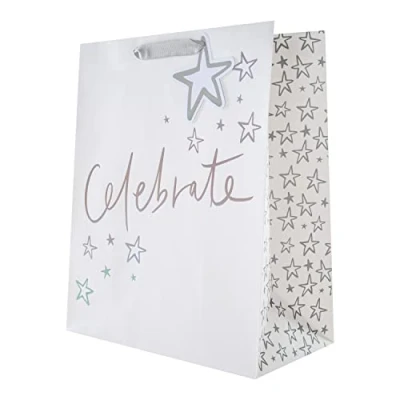 Afbeelding van Hallmark Multi Occasion Grote Gift Bag Holografische Folie Tekst Ontwerp
