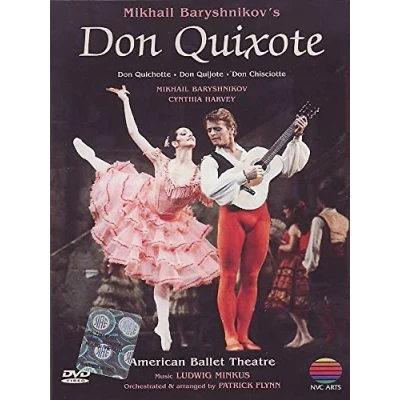 Afbeelding van Don Quixote