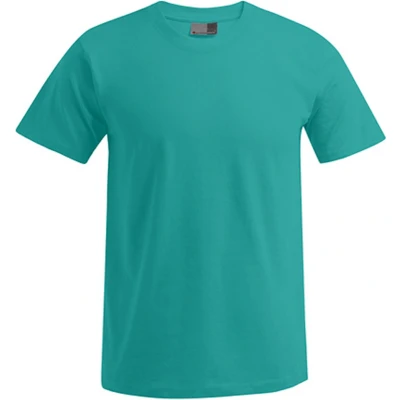 Afbeelding van Herenshirt &#039;Premium T&#039; met ronde hals Jade L