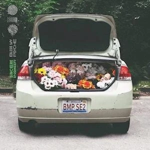 Afbeelding van Sincere Engineer Bless My Psyche (LP)