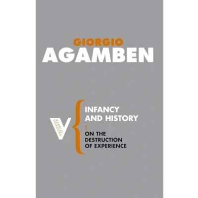 Afbeelding van Infancy and History: On the Destruction of Experience: 14