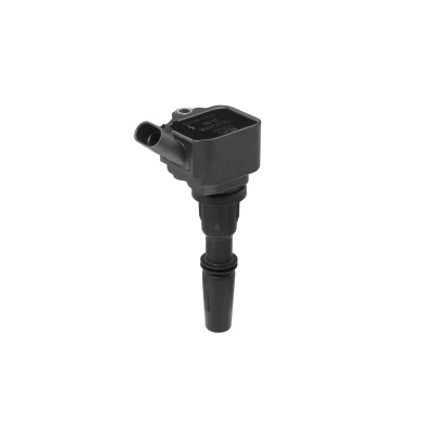 Afbeelding van Bobine BERU ZS596