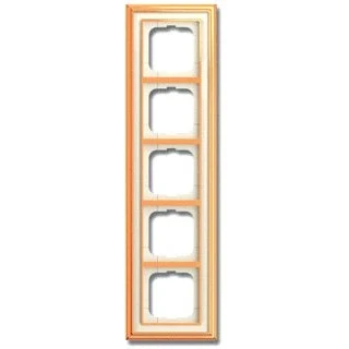 Afbeelding van Abb busch jaeger afdekraam 5 voudig dynasty messing ivoor 2cka001754a4637