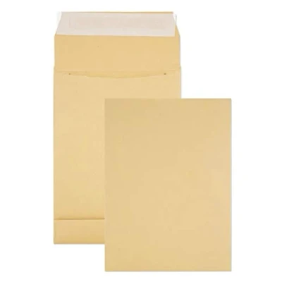 Afbeelding van Netuno 50 bruine enveloppen met zijvouw B5 176x250mm 120g uitbreidbare inhoud opstaande bodem voor boeken brochures documenten