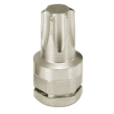 Afbeelding van KS Tools, Bits, 503.8171 (T10)