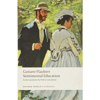 Afbeelding van Sentimental Education: The Story of a Young Man