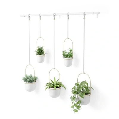 Afbeelding van Umbra Bloempot Triflora Hangend Set Van 5 Large Wit Messing 138x18x95cm
