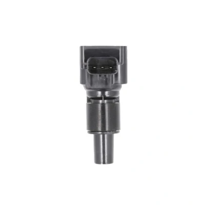 Afbeelding van Bobine DELPHI GN10508 12B1