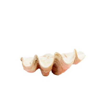 Afbeelding van Light &amp; Living Ornament SHELL 41x25x17cm Oranje